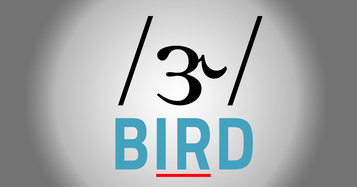 The ER Sound: Bird