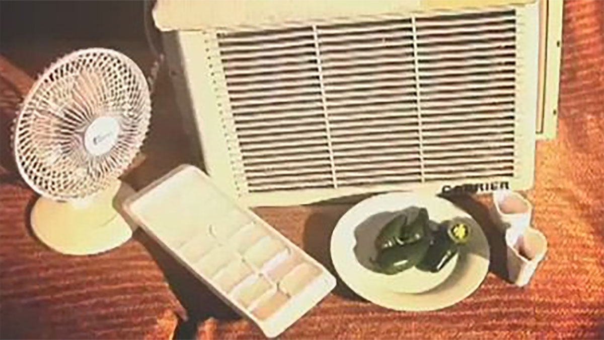 How to Survive Without Air Conditioning