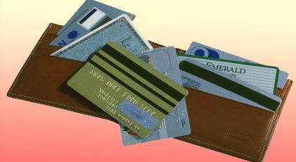 What S In Your Wallet