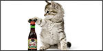 A Special Wine for Cats