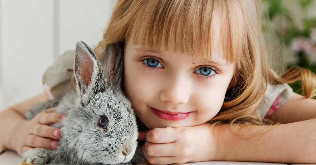 Why Do We Have Pets? 1