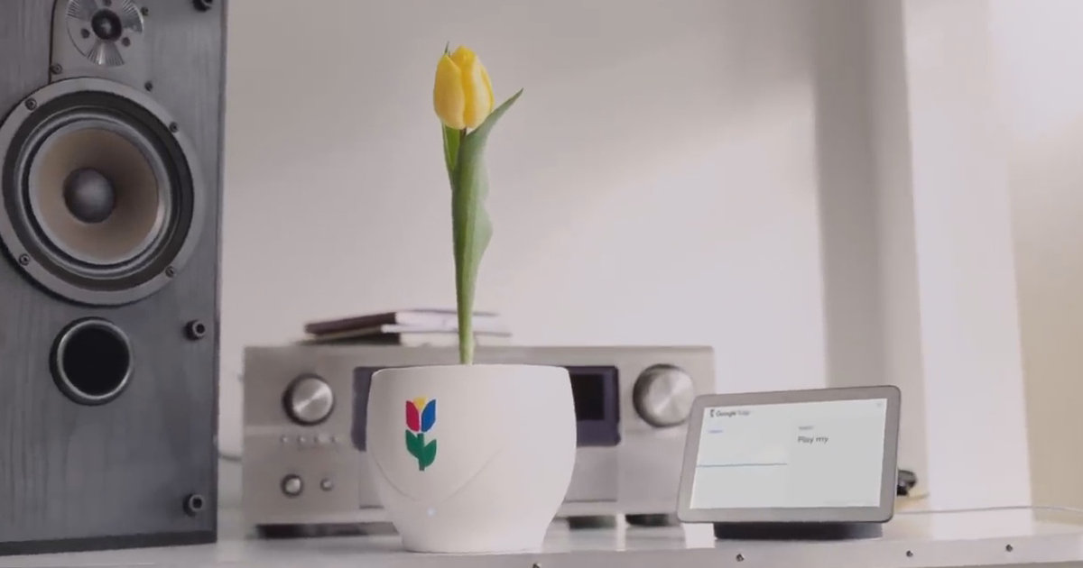 Introducing Google Tulip