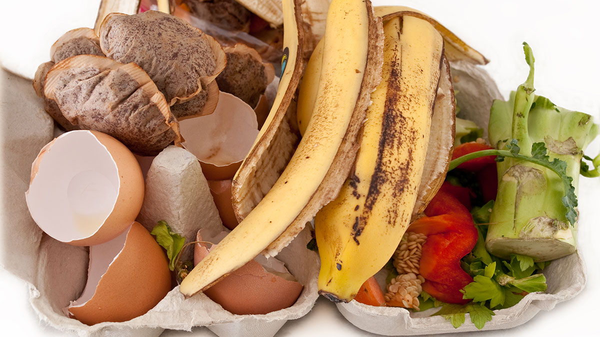 Composting Now Required By California Law