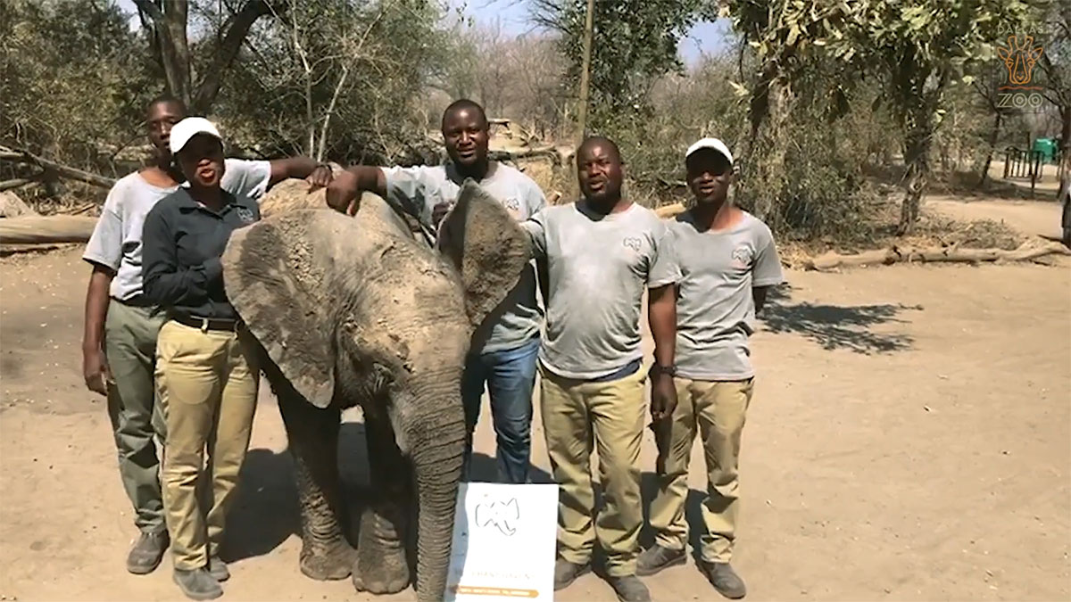 Why Zoos Matter?