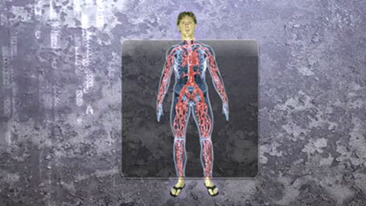 Body A Rent Scan Vf How Body Systems Work